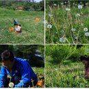 유희태농장 이미지