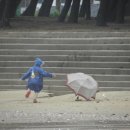 몽산포오토캠핑장 이미지