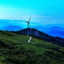 육백마지기 이미지