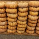 도도참치 이미지