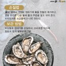 홍합·굴·꼬막, 12월 제철 음식의 효능과 먹는 방법 이미지