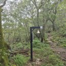 지리산동물병원 펫노트