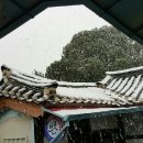게스트하우스이웃