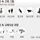 선사인