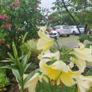 풍영산업 이미지