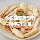 대포리 | 속초 대포항 횟집 대게 맛집 롯데리조트 근처 애견동반식당 대포리