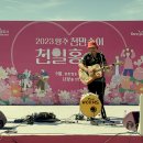 천일홍축제 이미지