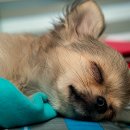 기특한한의원 이미지