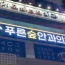 푸른숲안과
