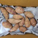 술의온도 | 고구마 에어프라이기 레시피｜군고구마 온도·시간 + 고구마 맛탕 후기