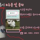 백봉춘천농장 | 먹방의 여신 이영자님의 백봉오골계 이영자초란 영자언니가 먹는 초란은 오골백봉이네꺼