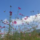 논공(대구) 이미지