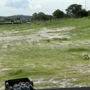 코리아골프연습장 이미지