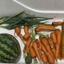 미완성농장 이미지