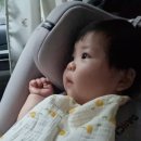 춘천농민한우신북점 이미지