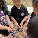 글로벌 파워점핑 줄넘기&태권도 이미지