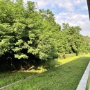 SG행정사사무소 | 인천행정사 탐정법인SG 덕분에 마음의 평화를 찾았어요