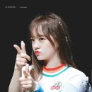 빵야빵야 이미지