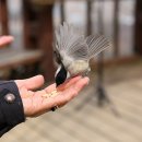 오봉산 맨발 등산로 이미지