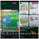 체얼스 | 픽토리) Goodnight moon &amp; Bear in sunshine