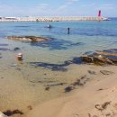 강릉게스트하우스봄날에강릉 이미지