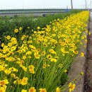 국도45호 삽교덕산 이미지