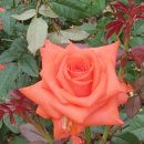 허풍선이과학쇼 이미지