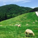 수아이의원 이미지