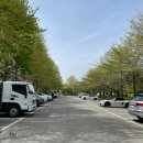 충장공원(테니스장) 이미지