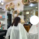 신헤어샵 - 포항시 북구 | 신헤어샵