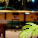 하늘다방 이미지