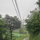 강릉씨클라우드카라반 이미지