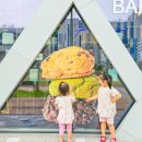 흰바위로232번길 이미지