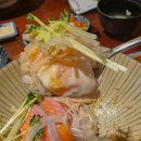 조양식당 | 춘천 명동 사케동 맛집 닝교초식당 춘천조양점 후기