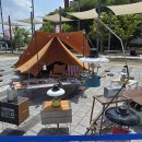 보리수하 이미지