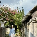 사랑루 | 전주 한옥마을 숙소 추천 감성 한옥 사랑루