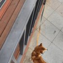 컴포즈커피동묘롯데