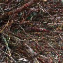 Memory-始原 이미지