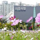 흥부네