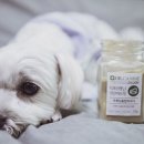 아미덴탈 이미지