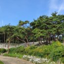 금마충전소 이미지