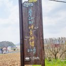 룡대미어촌체험휴양마을 이미지