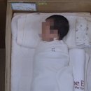 디엘린산후조리원 | 디엘린 산후조리원 이용 후기(2) - 테스파 마사지, 모자동실, 병원 외출, 조리원 프로그램