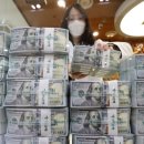 Concern grows over dwindling foreign reserves 외환보유고 감소에 대한 우려증가 이미지