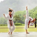 일동태권도장 이미지