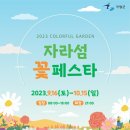자라섬 주차장 이미지
