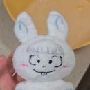 세탁하는날 | 원앤온리 솜뭉치 목욕날! 10cm 아이돌 인형 손상 없이 세탁하는 방법