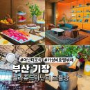빌라쥬드 아난티 조식 뷔페 식당 르블랑 할인 방법 및 이용 후기