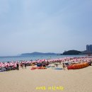 해운대 ㅡ거제ㅡ통영ㅡ보성ㅡ장흥 ㅡ완도 ㅡ해남ㅡ진도ㅡ신안ㅡ영광 ㅡ부안 여행풍경^^ 이미지