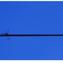 영종초등학교 금산분교 이미지